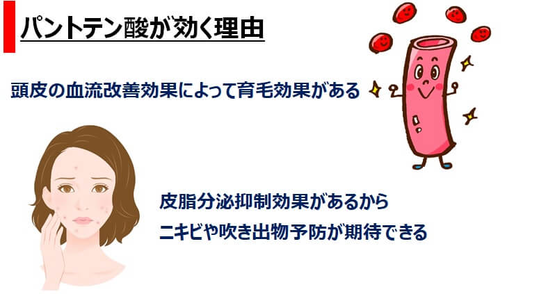 パントステン酸が効く理由