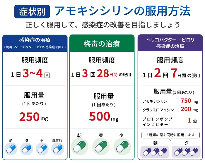 アモキシシリンの服用方法