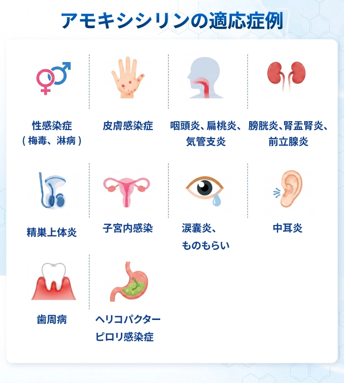 アモキシシリンの適応症例