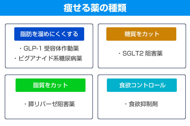 痩せる薬の種類