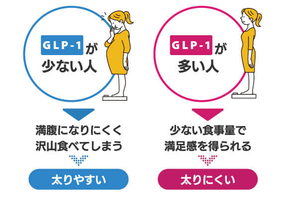 リベルサスの作用