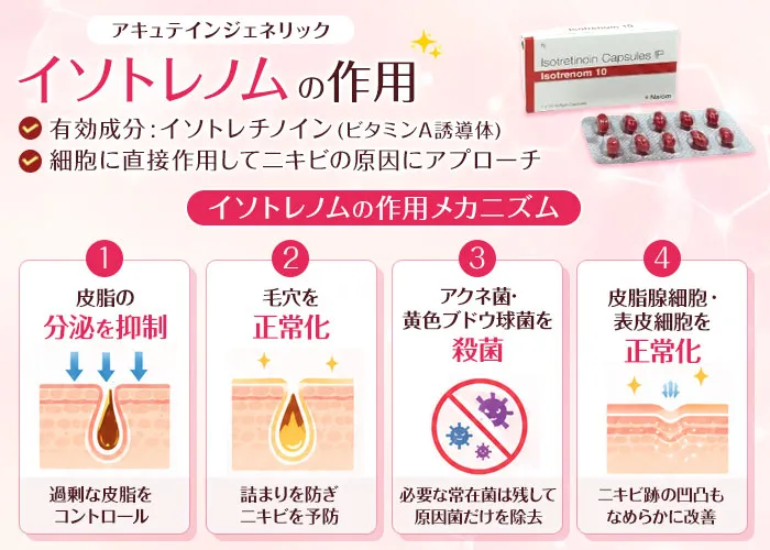 イソトレノムの作用