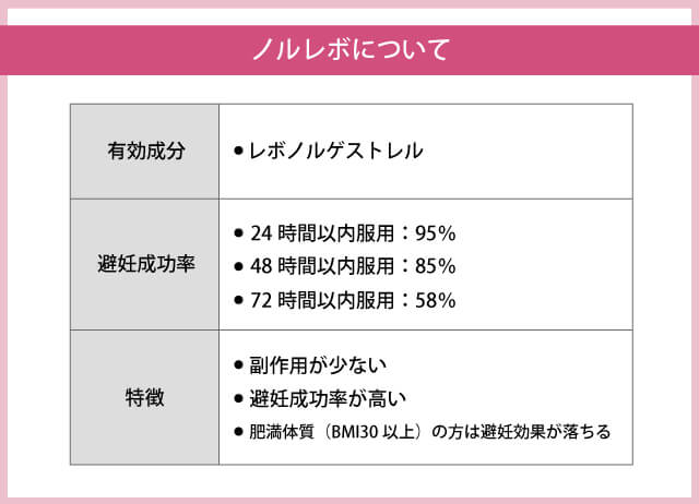 ノルレボについて