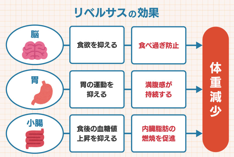 リベルサスの効果