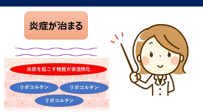 エロコンクリーム作用機序