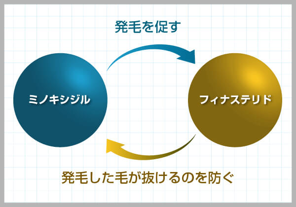 モールエフ