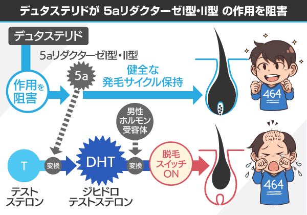 デュタス