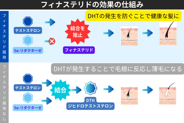 フィナックス