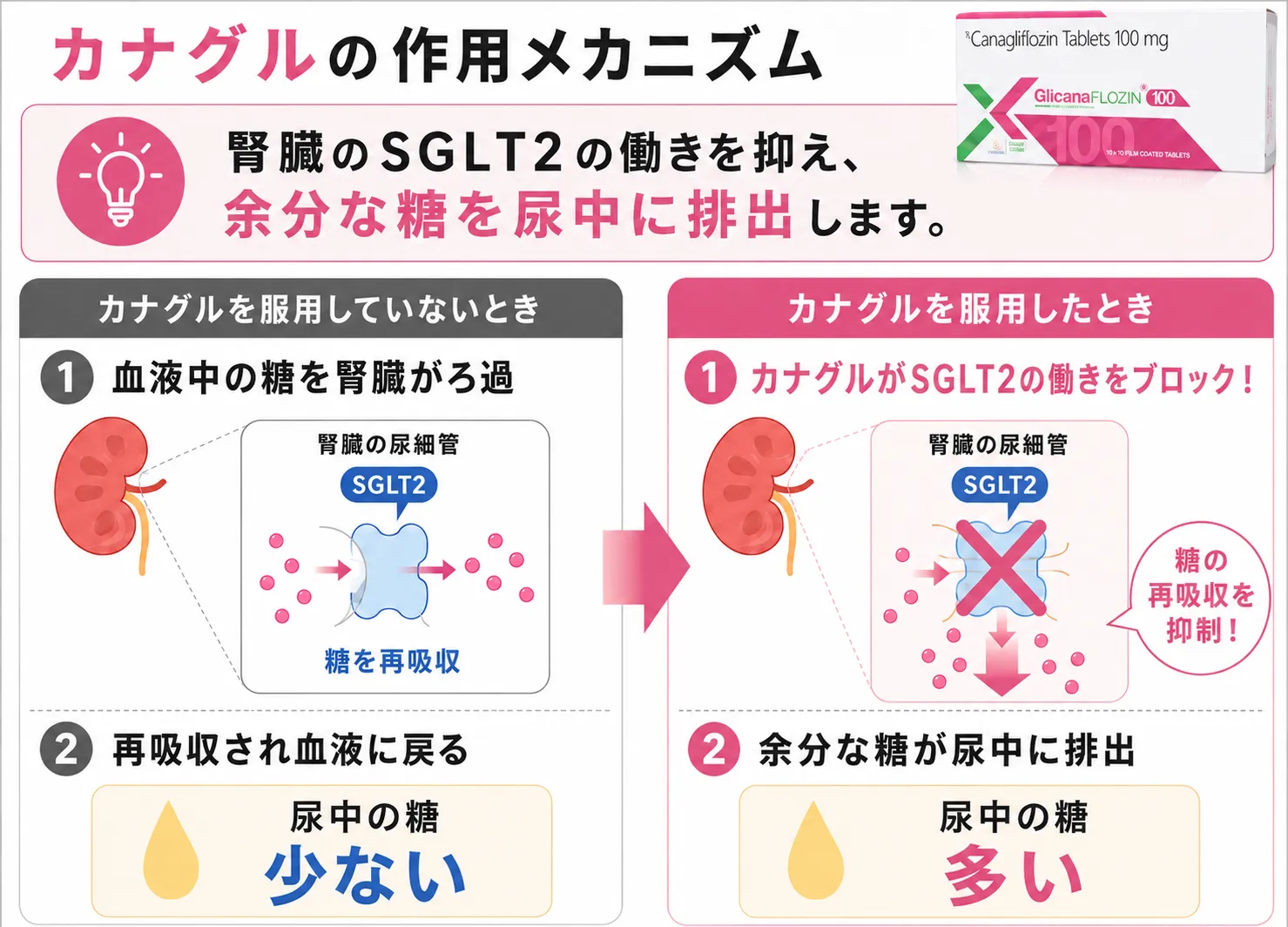 カナグルの作用