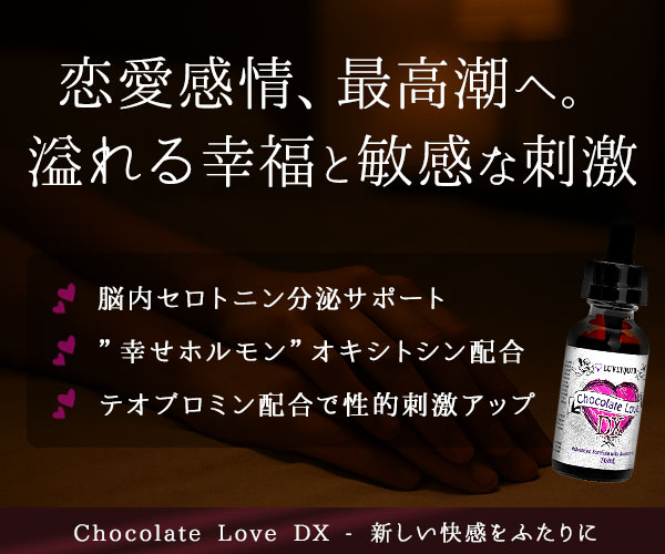 チョコレートラブDXの商品詳細