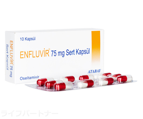 エンフルビル 75mg 10錠
