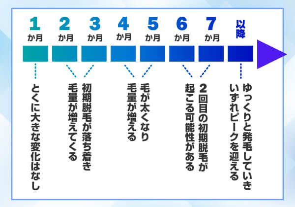 ミノクソール＋フィナクスセット 