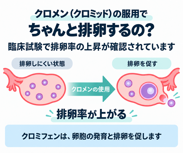 クロメンでちゃんとと排卵するのか