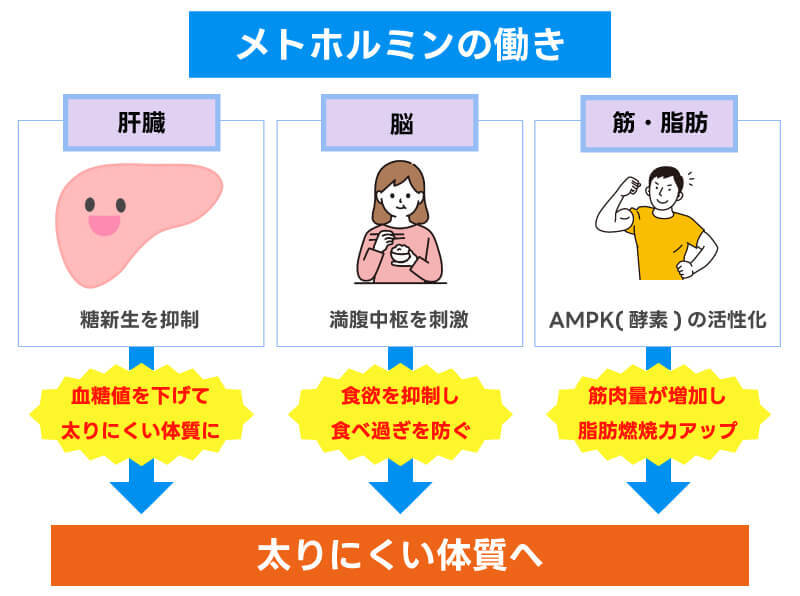 グルコファージ