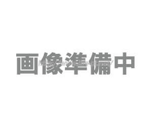 15%OFFの招き猫(Black Friday 2026ver)