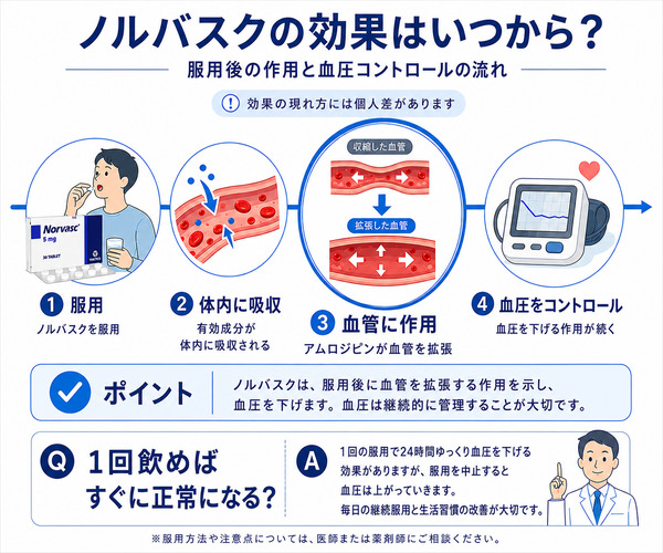 ノルバスク