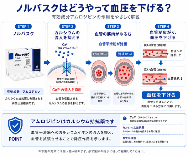 ノルバスク