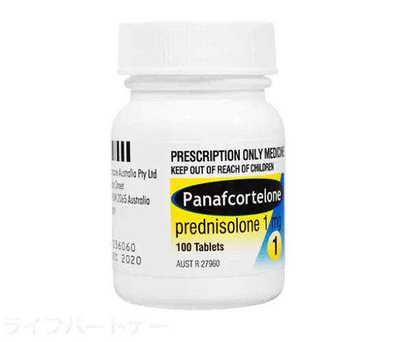 プレドニゾロン 1mg 100錠