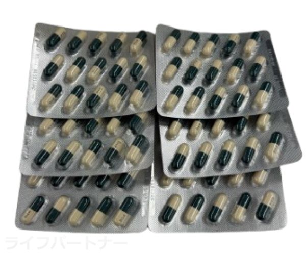 パントガール通販【1錠最安値80円】メーカー正規品