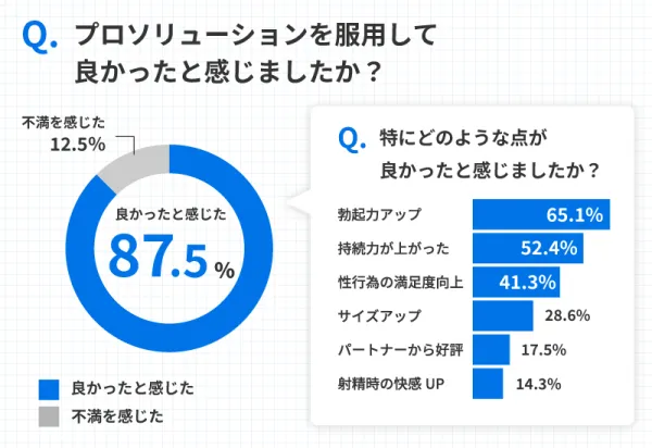 プロソリューションのレビュー