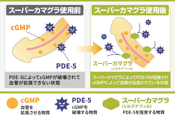 スーパーカマグラの効果の仕組み