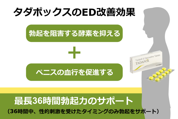 ダポキセチンの勃起効果