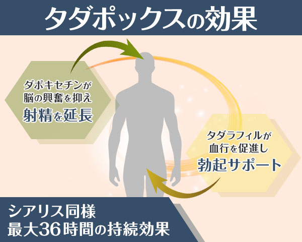 タダポックス
