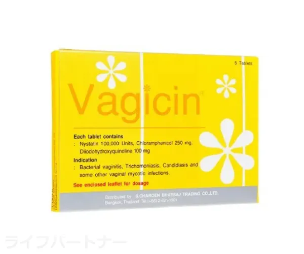 ヴァギシン膣錠